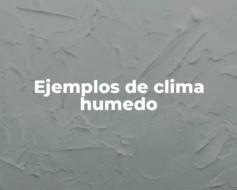 Ejemplos de clima humedo