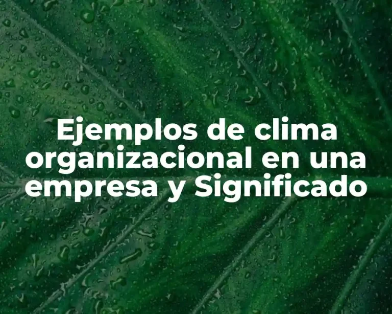 Ejemplos de clima organizacional en una empresa y Significado