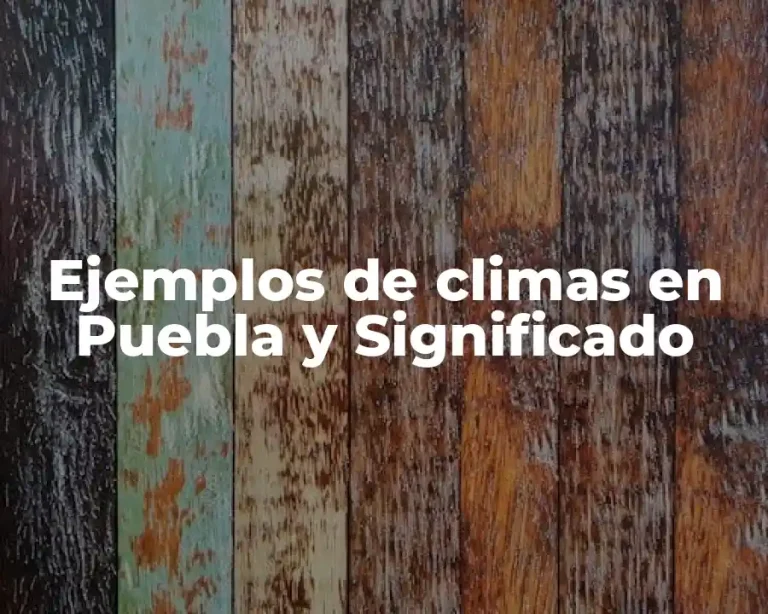 Ejemplos de climas en Puebla y Significado