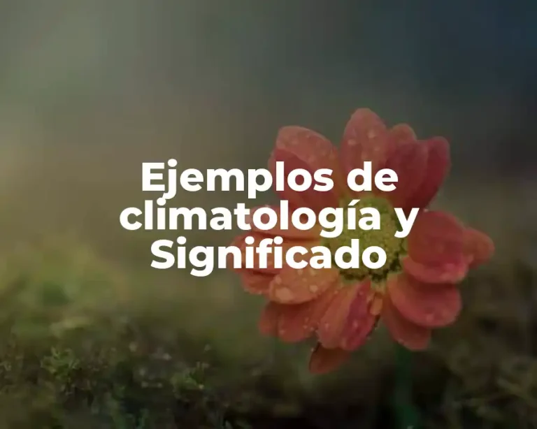 Ejemplos de climatología y Significado