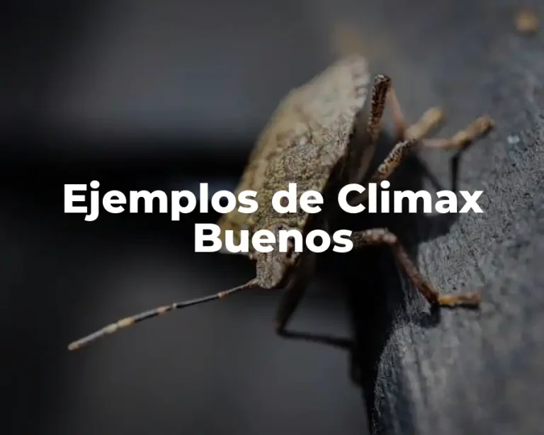 Ejemplos de Climax Buenos