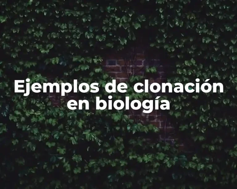 Ejemplos de clonación en biología