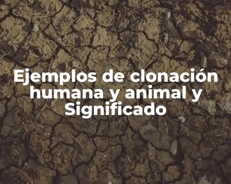 Ejemplos de clonación humana y animal y Significado