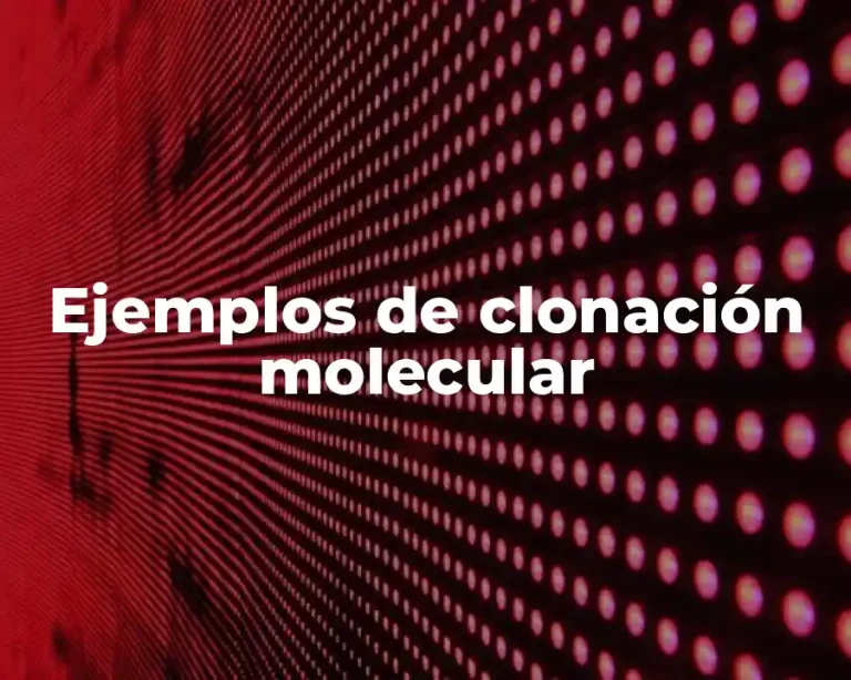 Ejemplos de clonación molecular