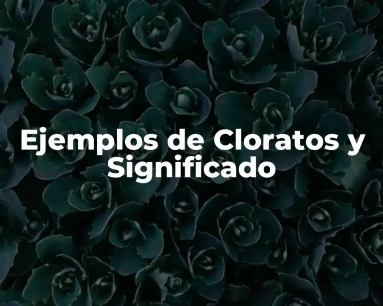 Ejemplos de Cloratos y Significado