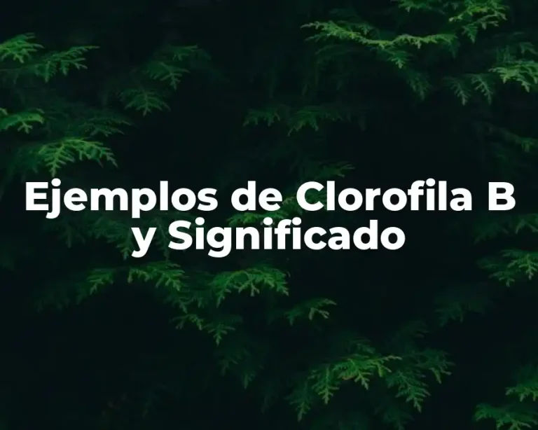 Ejemplos de Clorofila B y Significado