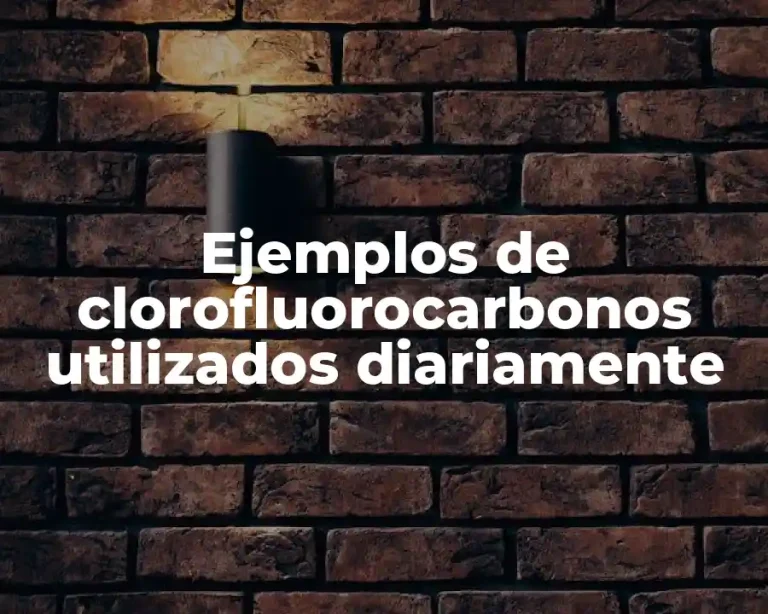Ejemplos de clorofluorocarbonos utilizados diariamente