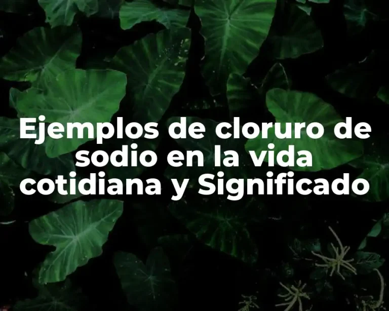 Ejemplos de cloruro de sodio en la vida cotidiana y Significado