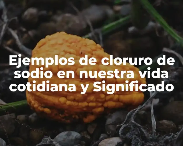 Ejemplos de cloruro de sodio en nuestra vida cotidiana y Significado