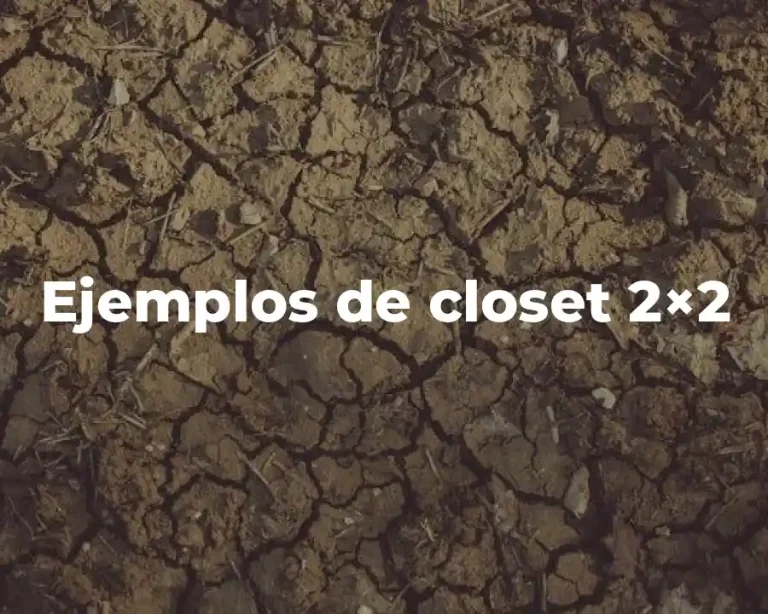 Ejemplos de closet 2×2