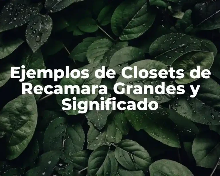 Ejemplos de Closets de Recamara Grandes y Significado