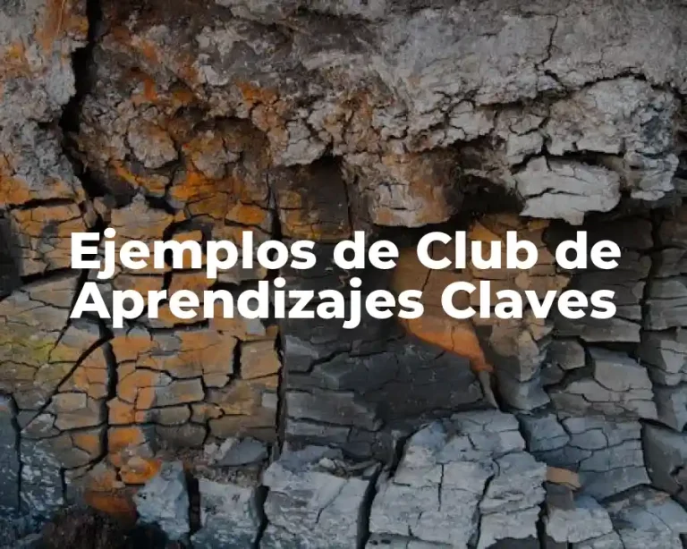 Ejemplos de Club de Aprendizajes Claves