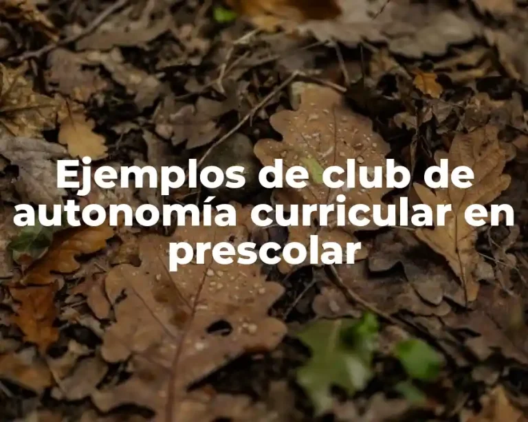 Ejemplos de club de autonomía curricular en prescolar