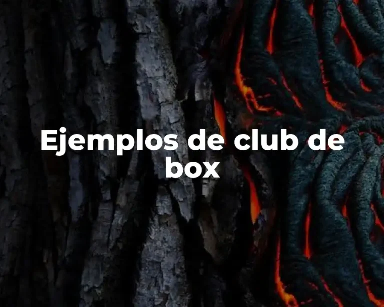 Ejemplos de club de box
