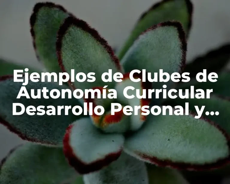 Ejemplos de Clubes de Autonomía Curricular Desarrollo Personal y Social