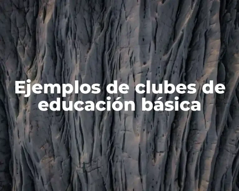 Ejemplos de clubes de educación básica