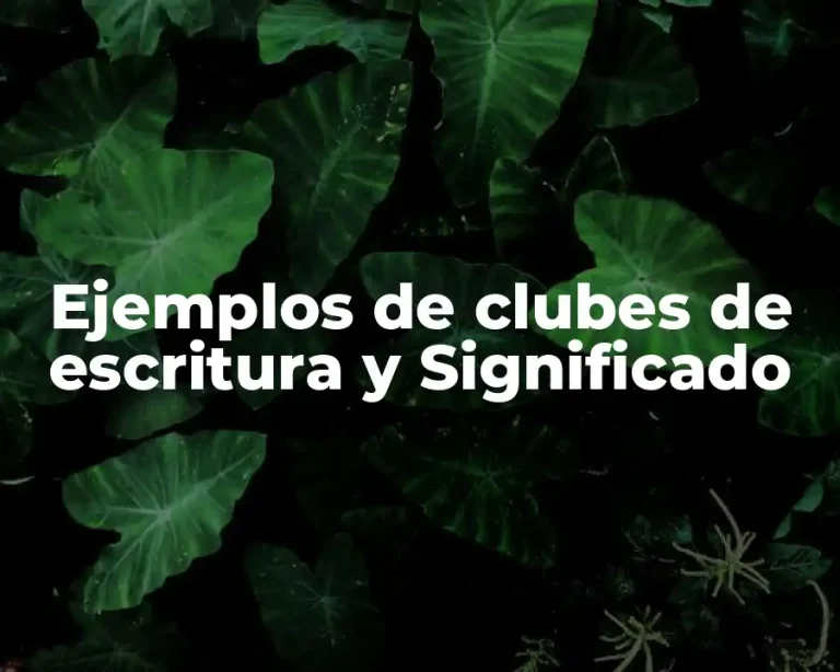 Ejemplos de clubes de escritura y Significado