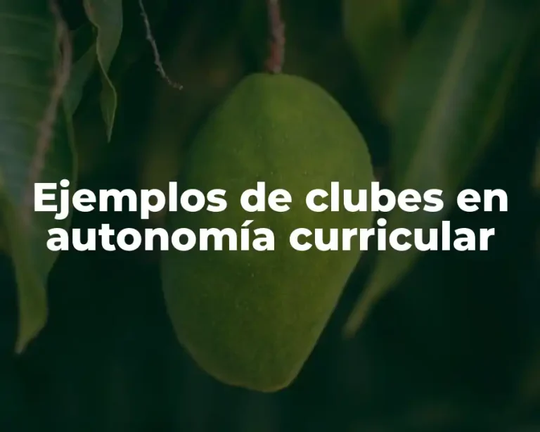 Ejemplos de clubes en autonomía curricular