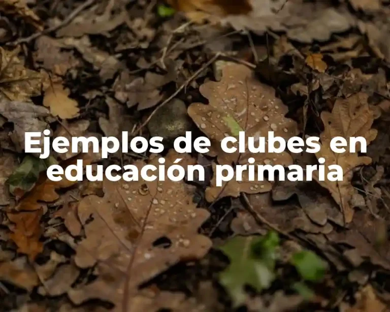 Ejemplos de clubes en educación primaria