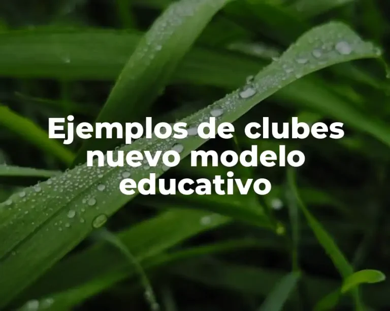 Ejemplos de clubes nuevo modelo educativo
