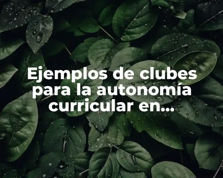 Ejemplos de clubes para la autonomía curricular en secundaria y Significado