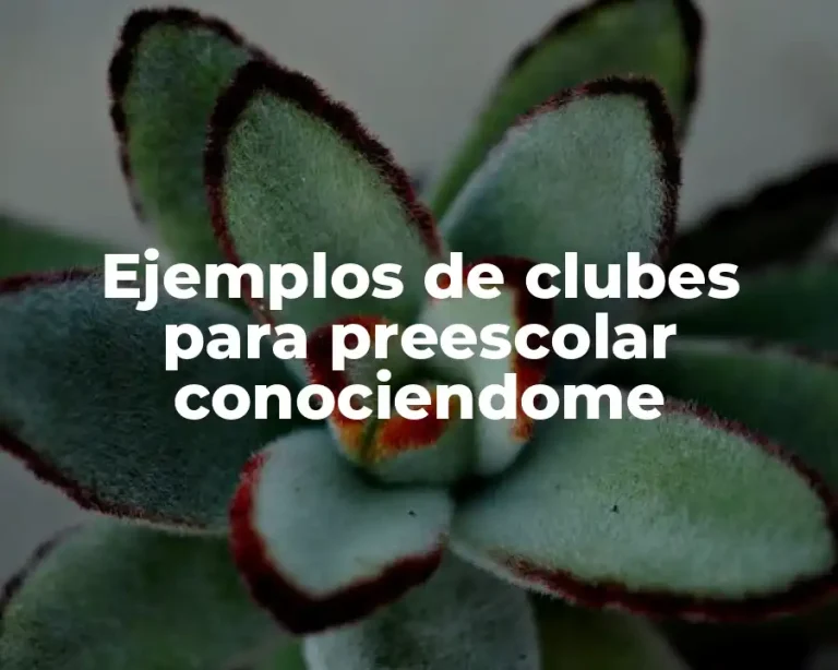 Ejemplos de clubes para preescolar conociendome
