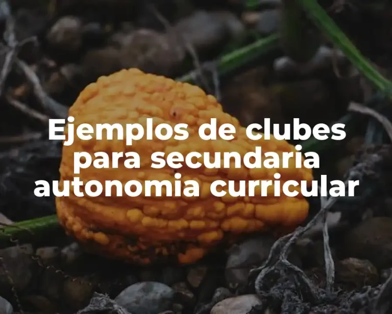 Ejemplos de clubes para secundaria autonomia curricular