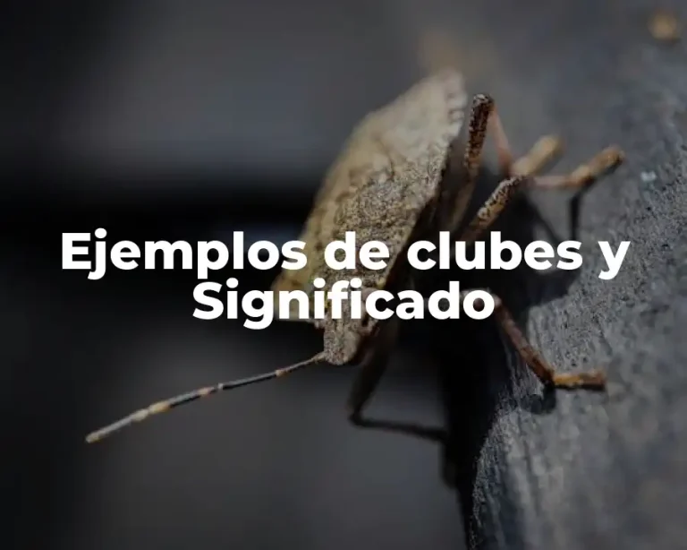 Ejemplos de clubes y Significado