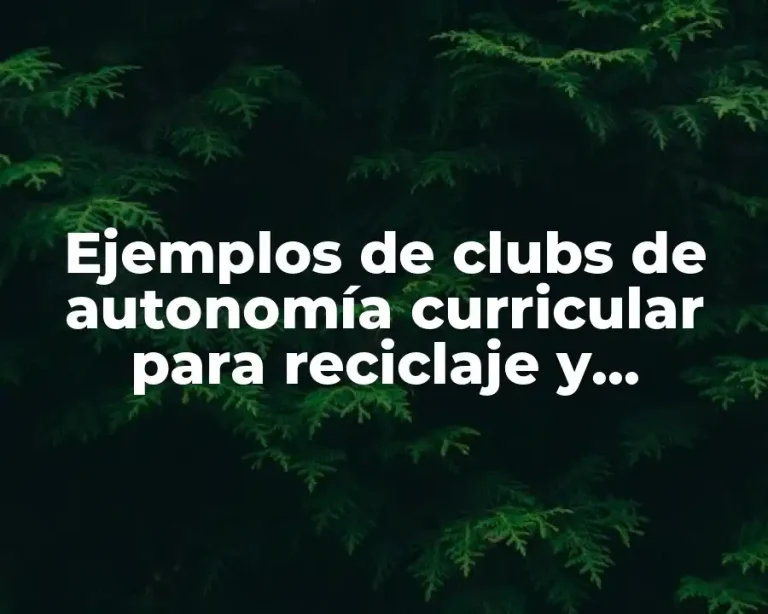 Ejemplos de clubs de autonomía curricular para reciclaje y Significado