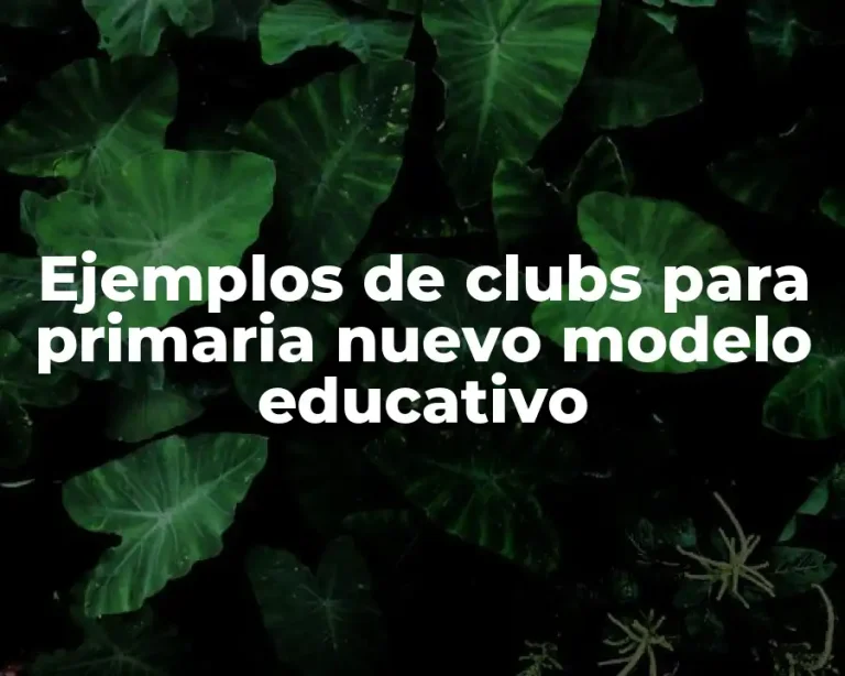Ejemplos de clubs para primaria nuevo modelo educativo