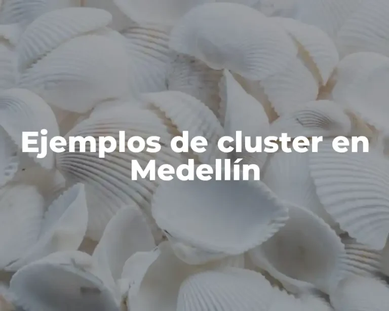 Ejemplos de cluster en Medellín