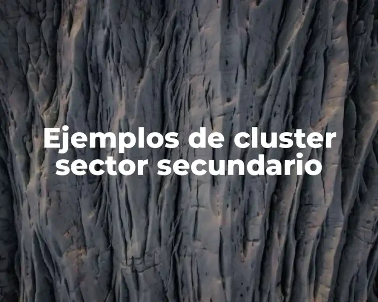 Ejemplos de cluster sector secundario