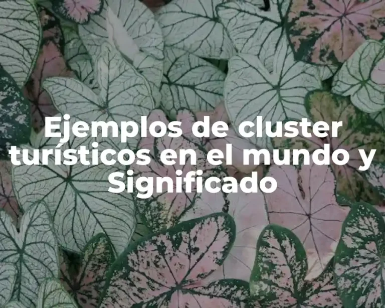 Ejemplos de cluster turísticos en el mundo y Significado