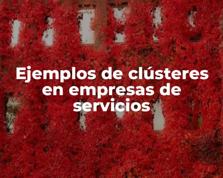 Ejemplos de clústeres en empresas de servicios