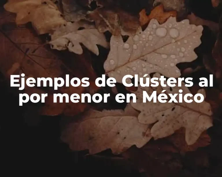 Ejemplos de Clústers al por menor en México