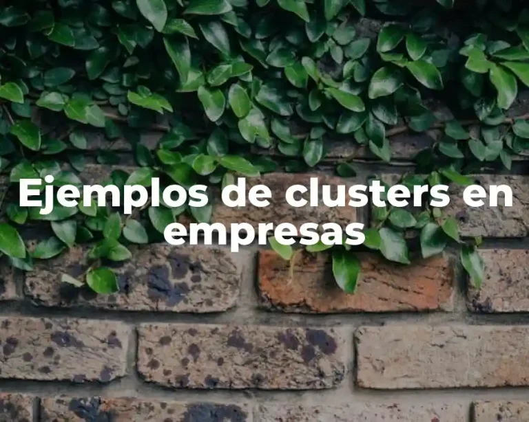 Ejemplos de clusters en empresas