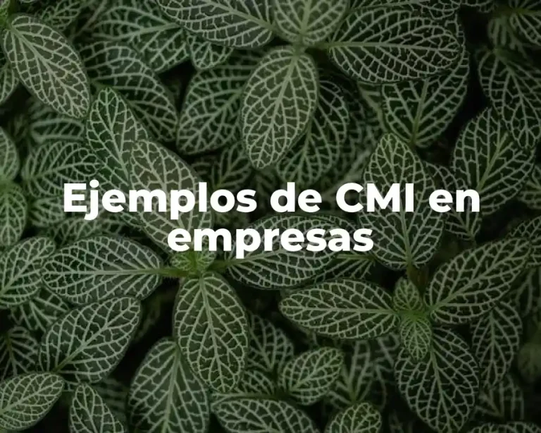 Ejemplos de CMI en empresas