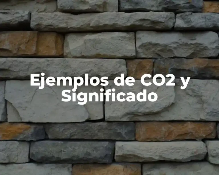 Ejemplos de CO2 y Significado