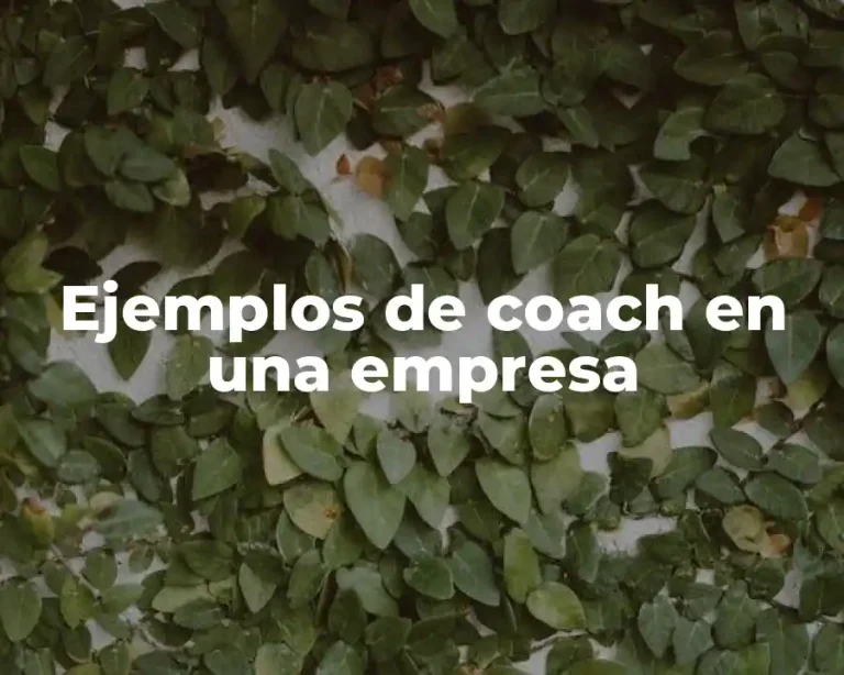 Ejemplos de coach en una empresa