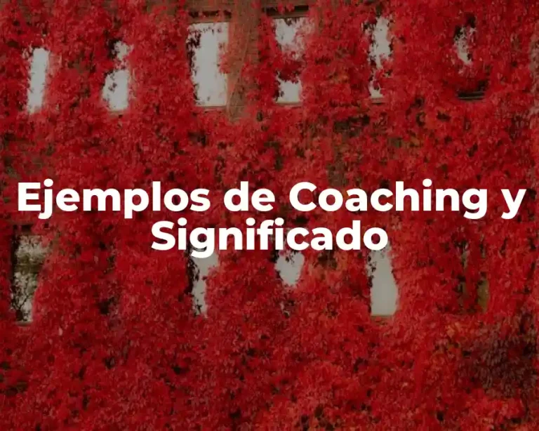 Ejemplos de Coaching y Significado