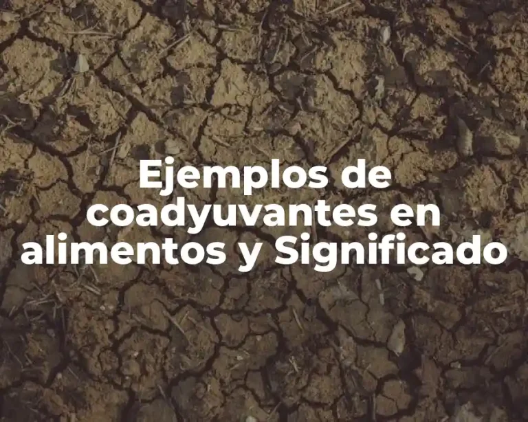 Ejemplos de coadyuvantes en alimentos y Significado