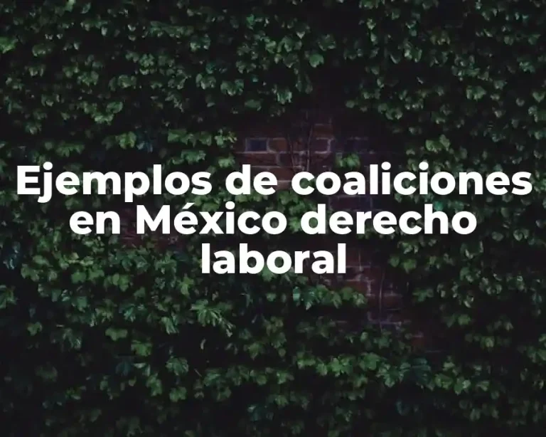 Ejemplos de coaliciones en México derecho laboral