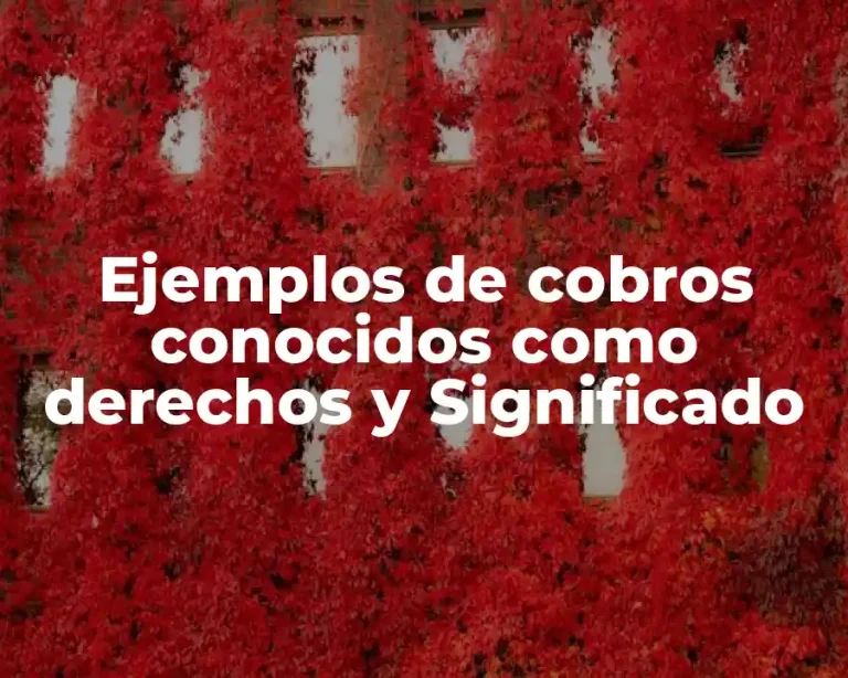 Ejemplos de cobros conocidos como derechos y Significado