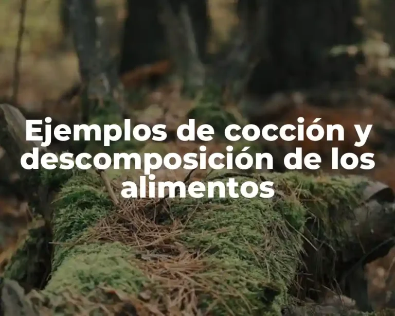 Ejemplos de cocción y descomposición de los alimentos
