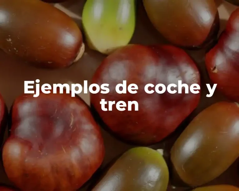 Ejemplos de coche y tren