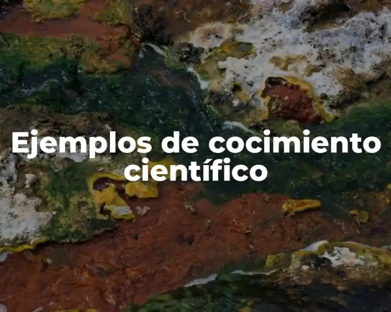 Ejemplos de cocimiento científico