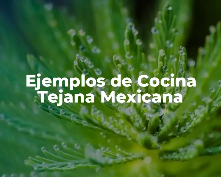 Ejemplos de Cocina Tejana Mexicana
