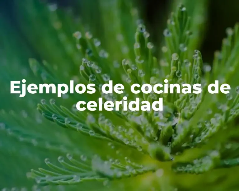 Ejemplos de cocinas de celeridad