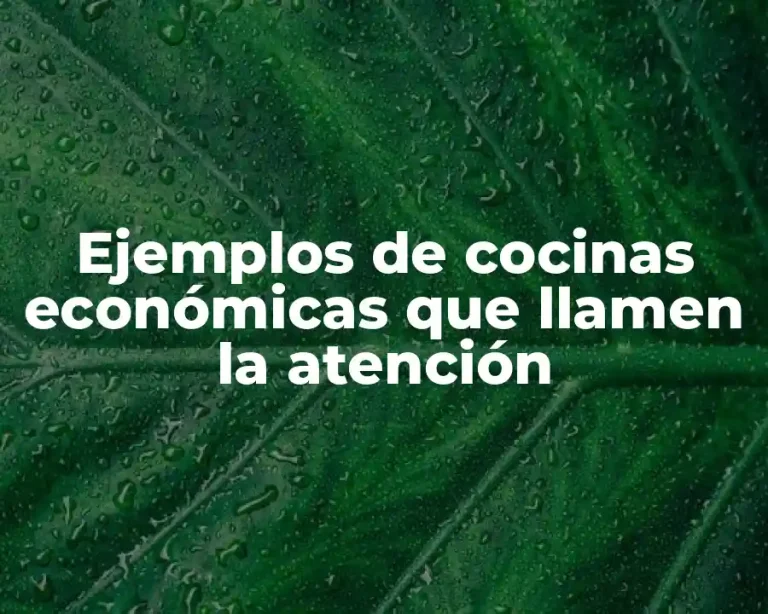 Ejemplos de cocinas económicas que llamen la atención