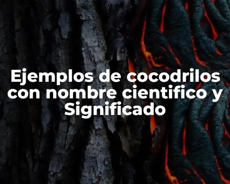 Ejemplos de cocodrilos con nombre cientifico y Significado